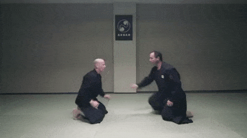 sitting martial-arts GIF by AKBAN Academy