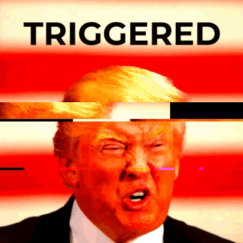 Triggered GIF