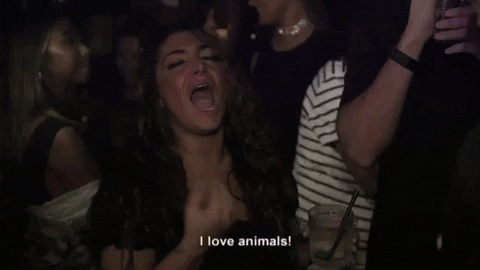 episode 2 i love animals GIF by Jersey Shore Family Vacation