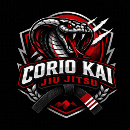 Jiu Jitsu Jits GIF by HRVfit