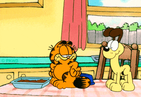 cat no GIF by Garfield