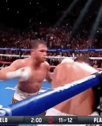 Knockout Sport GIF by SHOWTIME Sports