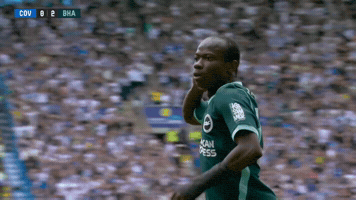 Premier League Football GIF