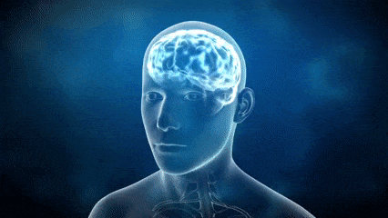 Thinking Brain GIF by MOODMAN - Find & Share on GIPHY