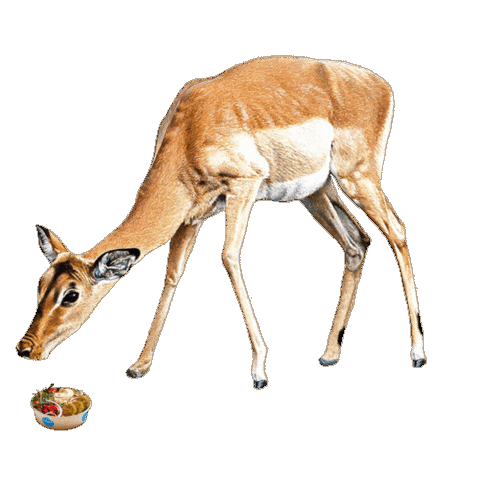 Deer Sticker by Foodmaker