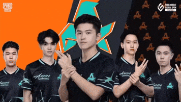 Aurorapubgmupdates GIF