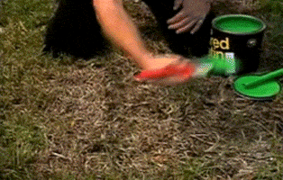 grass side GIF grass side GIF