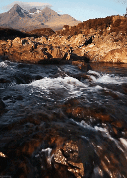 Nature Gifs Get The Best Gif On Giphy