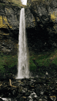 oregon waterfalls GIF
