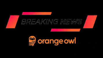 Orange Owl GIF