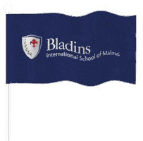Sticker by Bladins