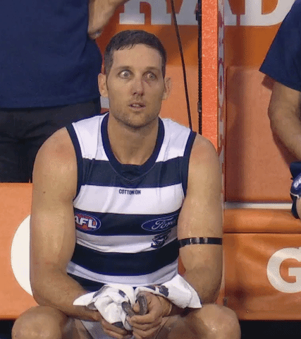 Harry Taylor Football Gif By Geelongcats Find Share On Giphy
