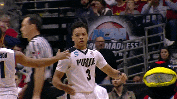 High Five Purdue Basketball GIF by Purdue Sports