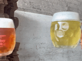 GIF by North Park Beer Co