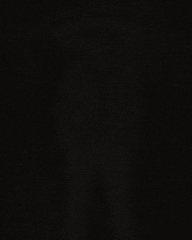 Nick Fuentes GIF