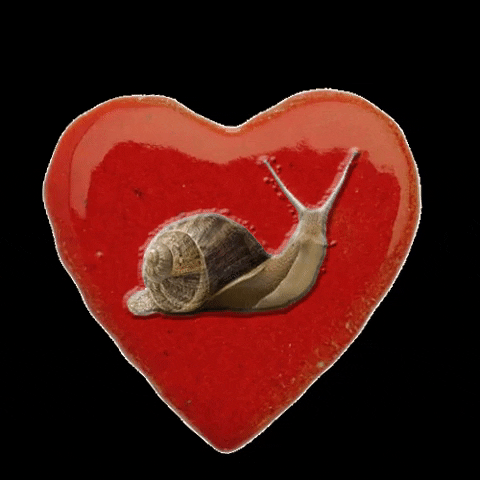 Snail Love GIF by Radio LA16.fr en Charente