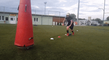 carnuntumlegionaries GIF