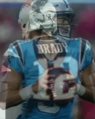 Carolina Panthers GIF