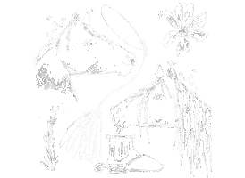 Charro Artemexicano Sticker