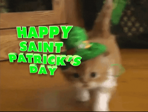 Saint Patrick GIFs - Get the best GIF on GIPHY