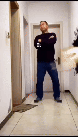 Meme GIF