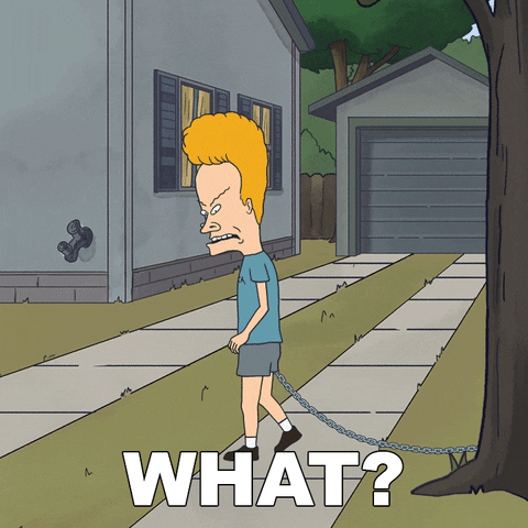 Beavis And Butthead What GIF by Paramount+
