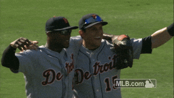 detroit tigers hug GIF by MLB