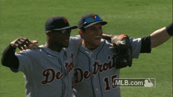 detroit tigers hug GIF by MLB