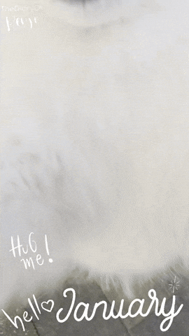 Happy New Year Hello GIF