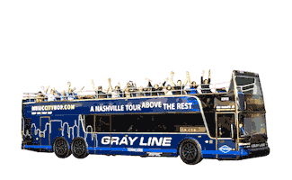 Gray Line TN Sticker