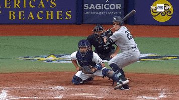 Celebrate New York Yankees GIF by YES Network