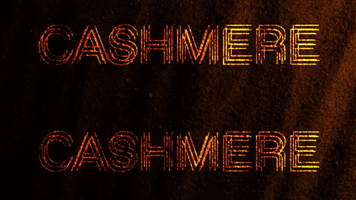 Cashmere Cashmereradio GIF