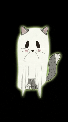 Ghost Cat Boo GIF