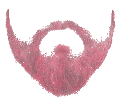 Beard Barba Sticker by TresDoce