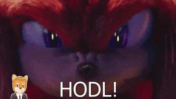 MemeRusher money crypto bitcoin hodl GIF