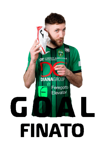 Pordenone Calcio a 5 Sticker