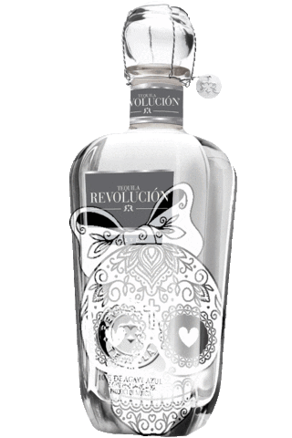 Party Halloween Sticker by Tequila Revolución USA