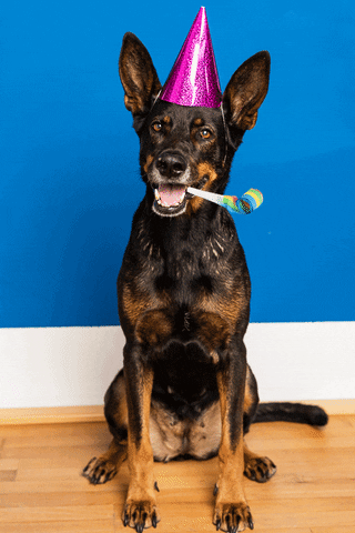Trate Party Animal GIF by sparwelt.de