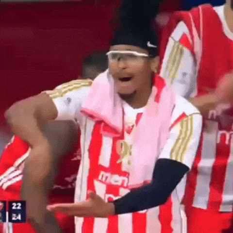 Crvena Zvezda Kkcz GIF