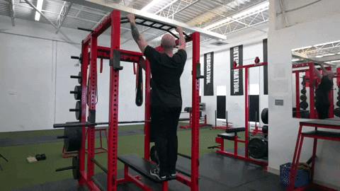 Top 5 Best Calisthenics Back Exercises 9 giphy
