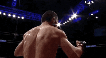 Khabib Nurmagomedov Sport GIF by UFC