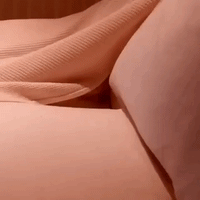 Aww Cute Animals GIF
