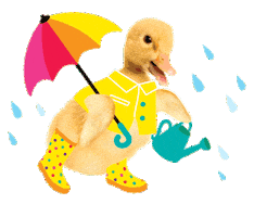 Kids Spring Sticker by Schoolgirl Style Classroom Decor