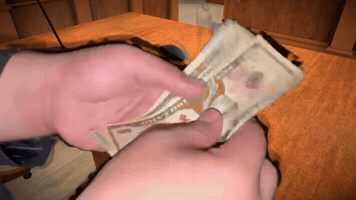 Money Cash GIF