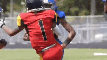 Smash Womens Football GIF by Women's National Football Conference