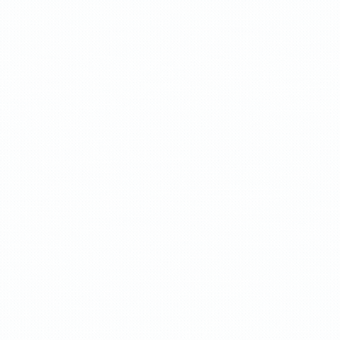 Brandssss GIF