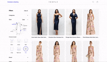 Faceted Filtering GIF
