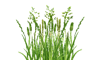 Geist Traunstein Sticker by Destillerie Schnitzer