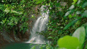romance waterfall GIF by Hallmark Channel