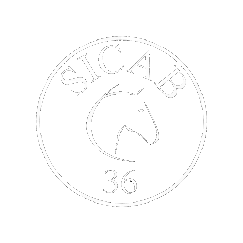 Sicab Sticker by ANCCE Oficial